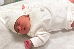 ERASLAN BEBEK